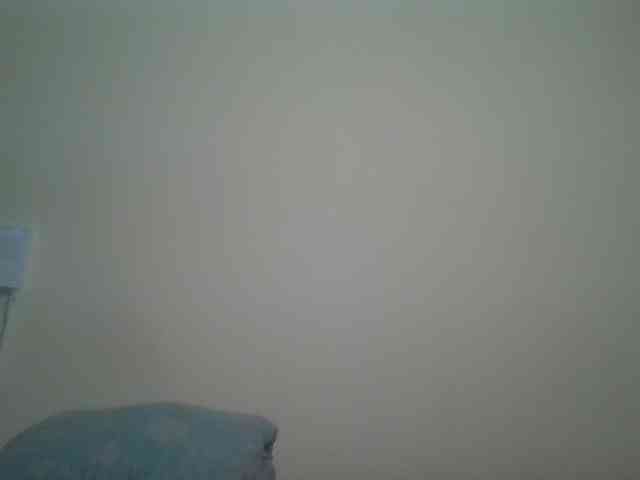 nudevelvet webcam