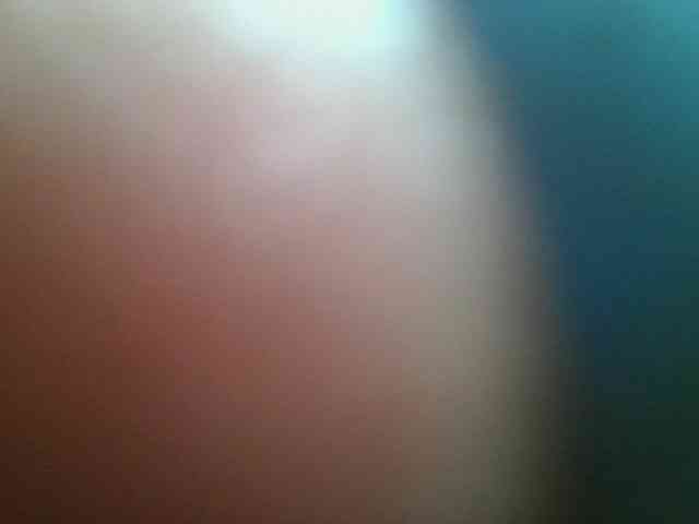 nudevelvet webcam