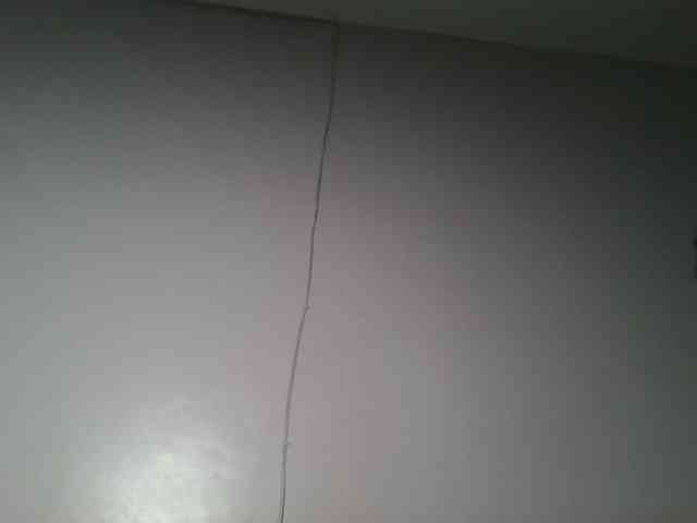 nudevelvet webcam