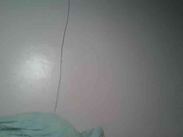 nudevelvet webcam