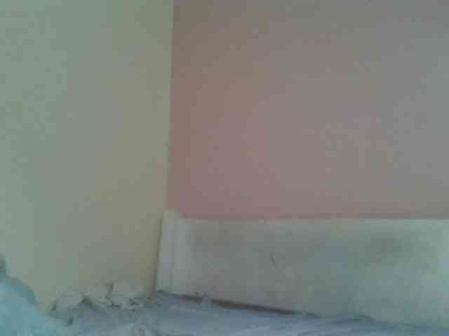 nudevelvet webcam
