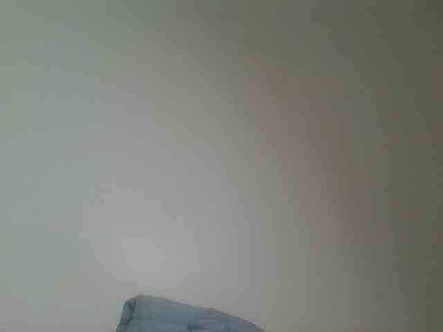 nudevelvet webcam