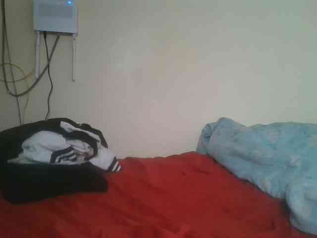 nudevelvet webcam