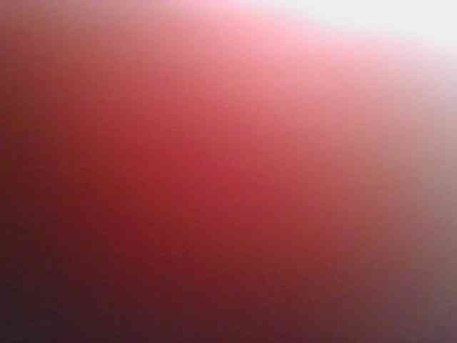 nudevelvet webcam
