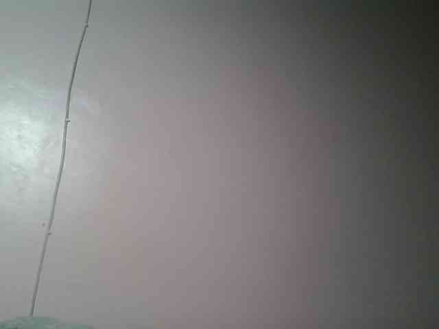 nudevelvet webcam