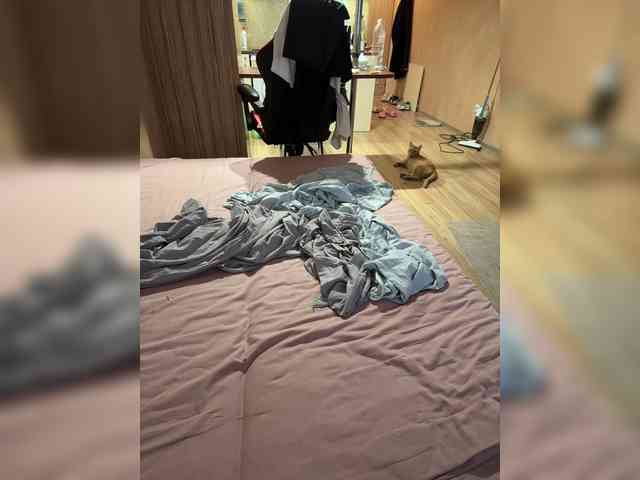 Elizabet_ webcam