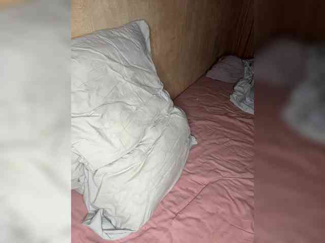 Lizzok- webcam
