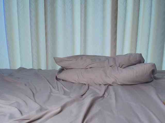 myatexas webcam