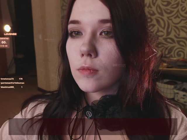 velouraa live cam on BongaCams