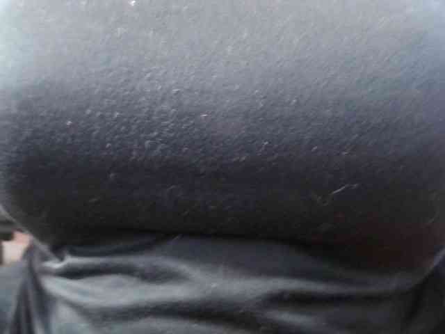 Chealsiek webcam
