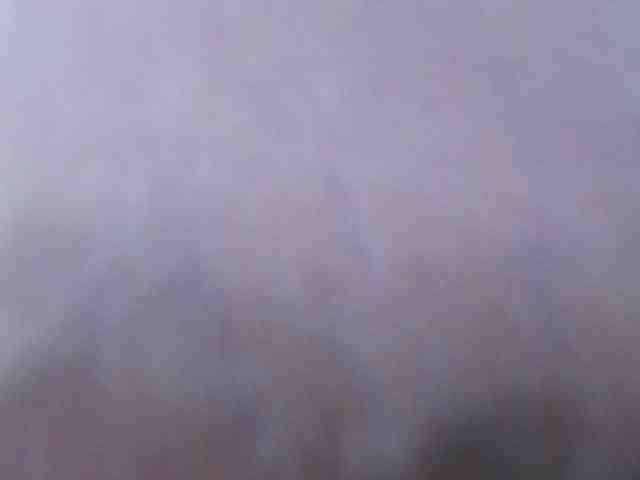 Chealsiek webcam