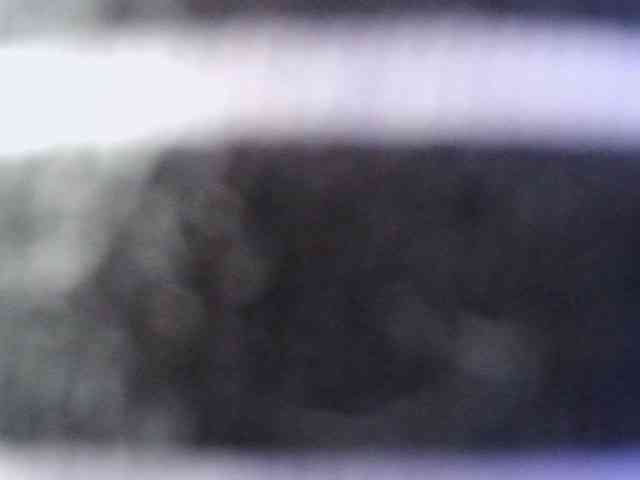 Chealsiek webcam