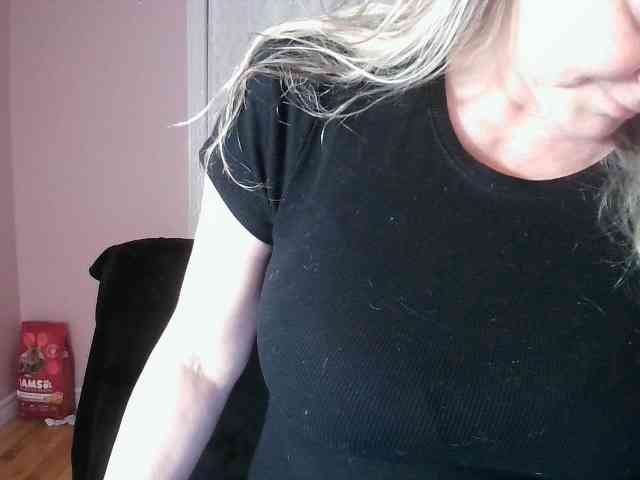 Chealsiek webcam
