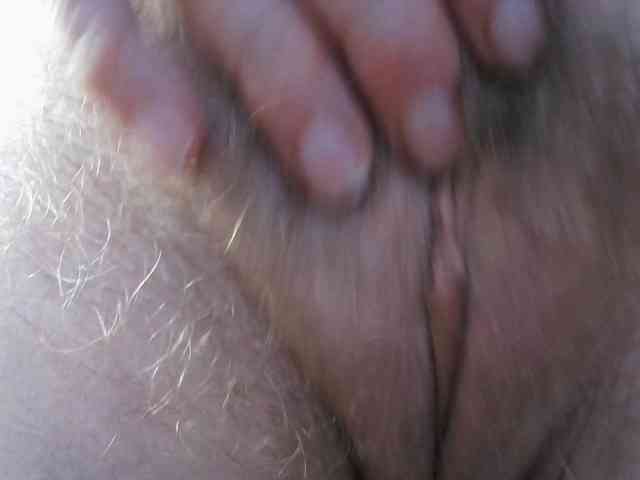 Chealsiek webcam
