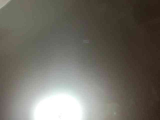 BurmaBarufaldi webcam
