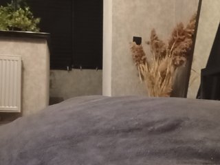Sofaa