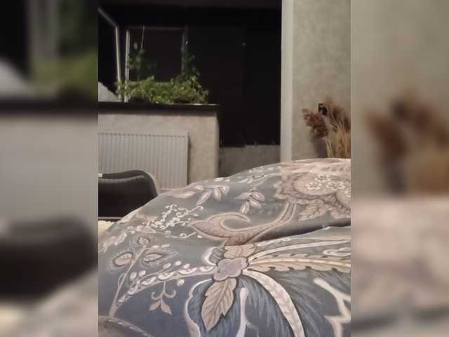 Sofaa live cam preview