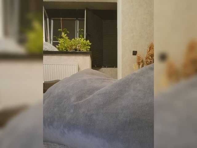 Sofaa live cam on BongaCams