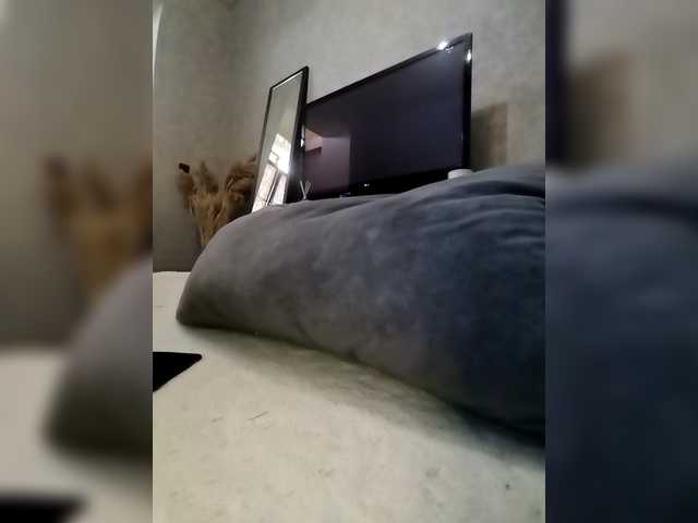 Sofaa live cam