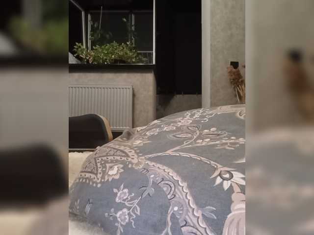 Sofaa