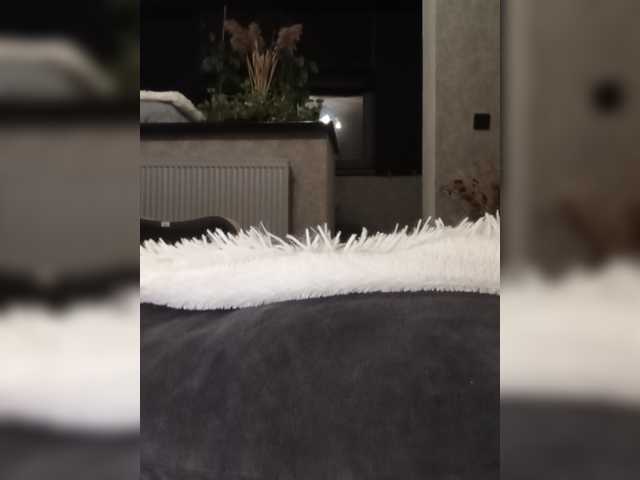 Sofaa