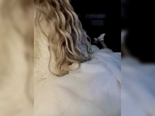 Sofaa live cam on BongaCams