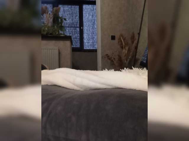 Sofaa live cam on BongaCams