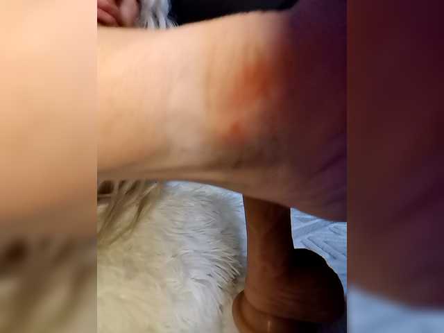 Sofaa