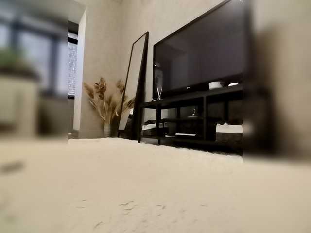 Sofaa live cam on BongaCams