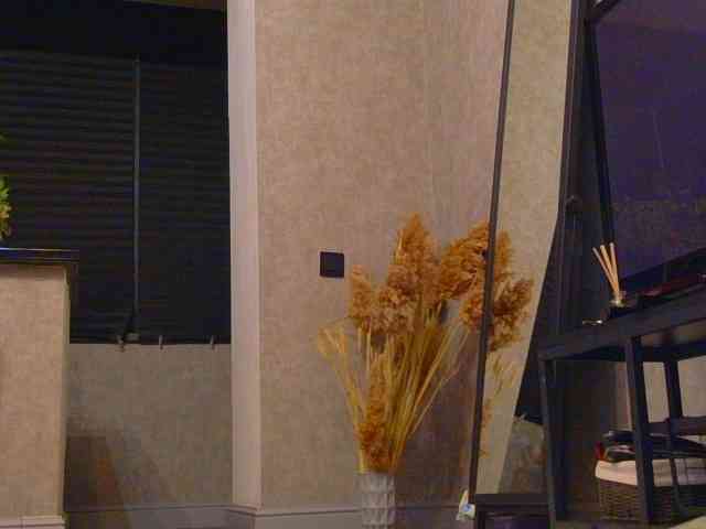 Sofaa webcam