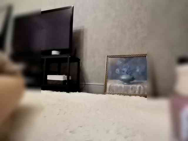 Sofaa webcam