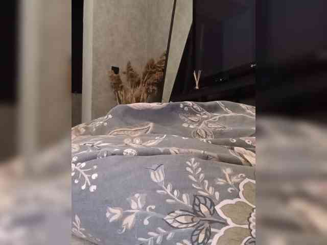Sofaa webcam