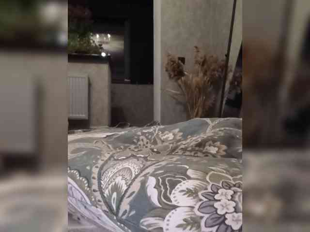 Sofaa webcam