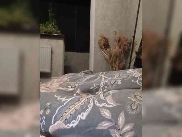 Sofaa webcam