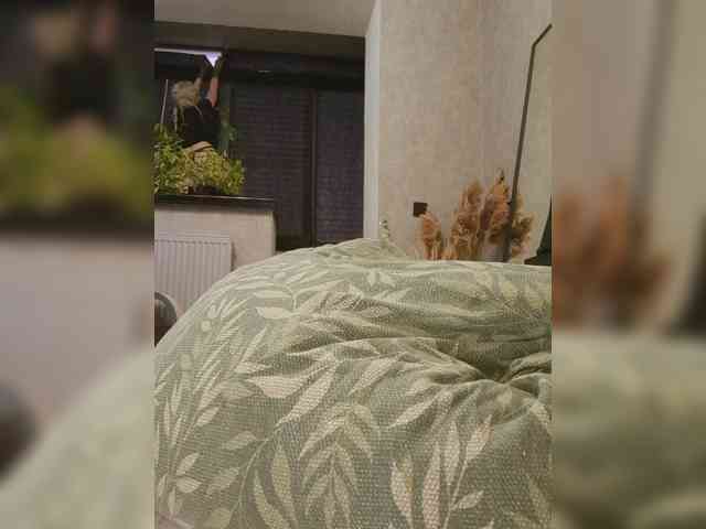 Sofaa webcam