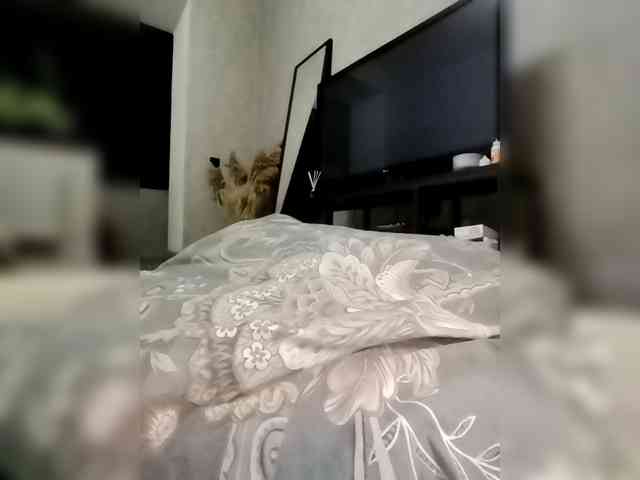 Sofaa webcam