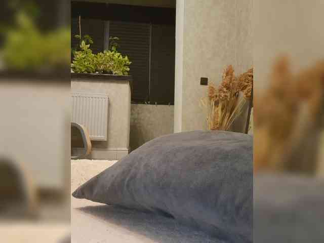Sofaa webcam