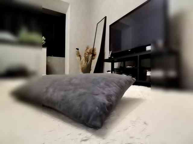 Sofaa webcam