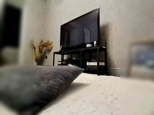 Sofaa webcam