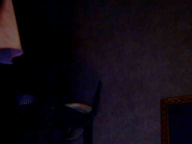 Sofaa webcam