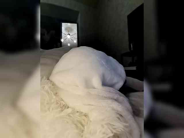 Sofaa webcam