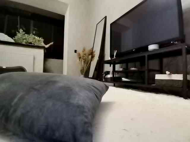 Sofaa webcam