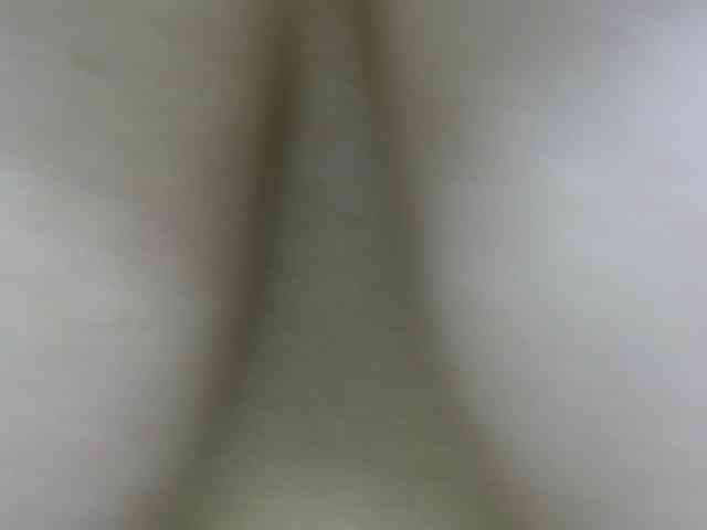 evelingjoyy webcam