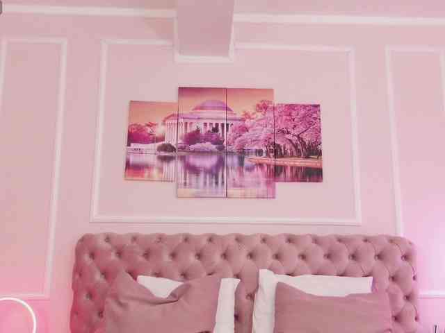 LanaKream webcam