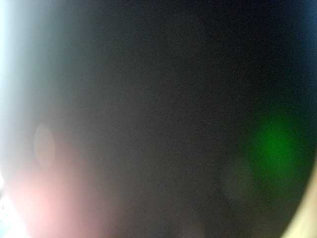lapatronavlatina