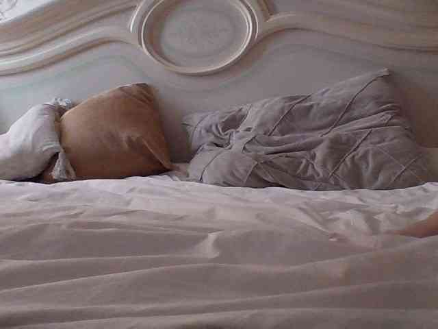 He-ls webcam