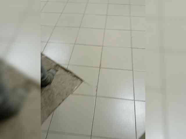 Aalleexxc
