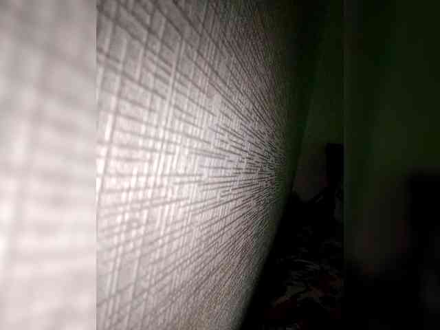 Aalleexxc