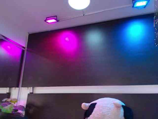 Gabriela-meow webcam
