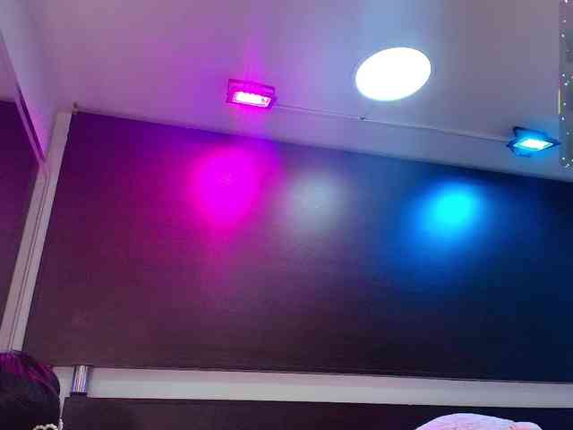 Gabriela-meow webcam